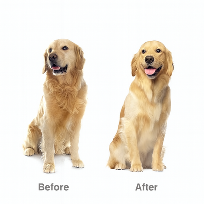 PuffSnuggle Pet Grooming Steam Brush